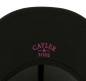 Preview: C&S WL Muniv Cap Preview: C&S WL Muniv Cap