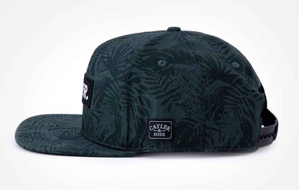 C&S WL Statement Cap C&S WL Statement Cap